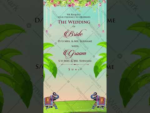 South Indian Caricature Wedding Video | VG-2414-V