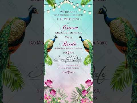 Caricature Wedding Invitation Video Online | VG-2293-V